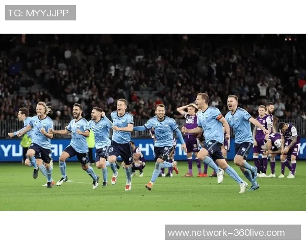 惠灵顿凤凰对阵悉尼FC赛事分析及战术解析全面解读